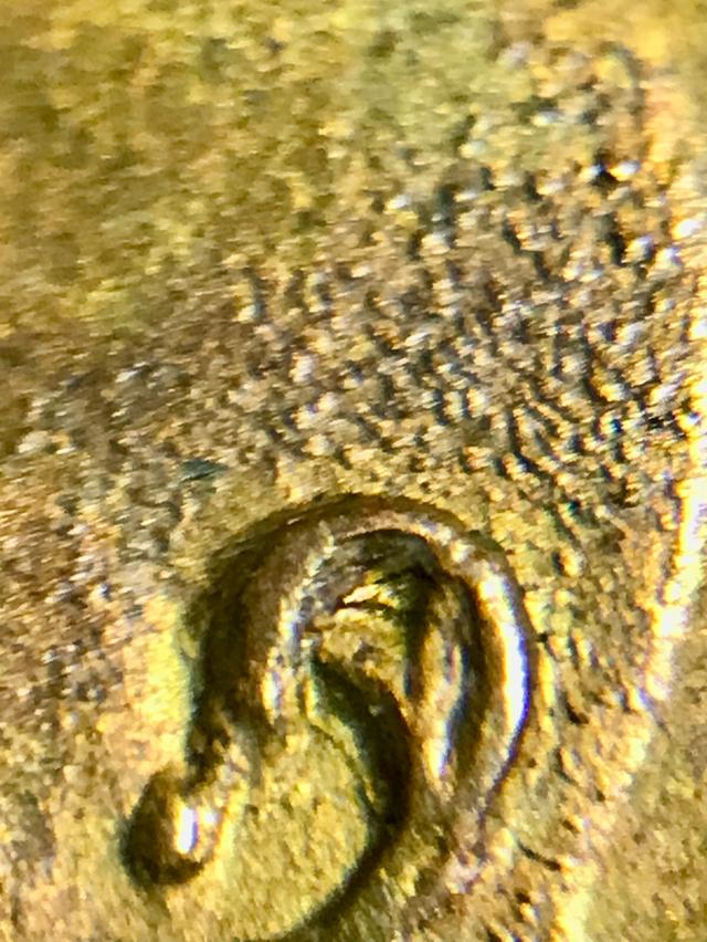 อาจาร์ยฝั้นรุ่นเเรก ชุปทองสุดของรุ่นรองจากเหรียญทองคำ ไม่ผ่านการใช้งานสวยมาก นัดรับได้ รูปที่ 7