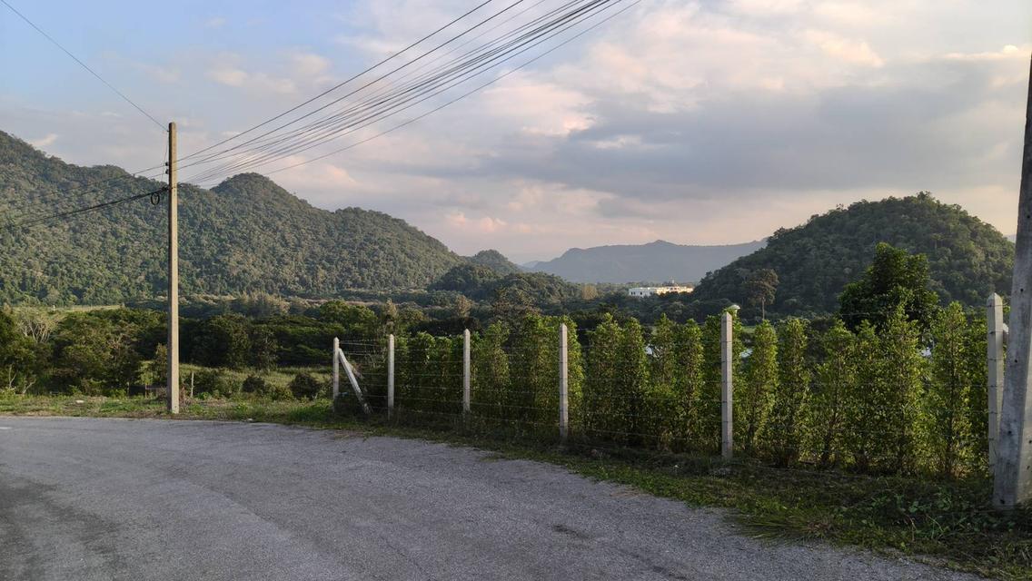 ขายบ้านเดี่ยวสุขุมวิท71 ปรีดีพนมยงค์26 121ตร.ว แปลงมุมสวย 4ห้องนอน 736ตร.ม ใกล้ BTSพระโขนง เอกมัย จอดรถได้หลายคัน เหมาะทั้งพักอาศัย Home office 2