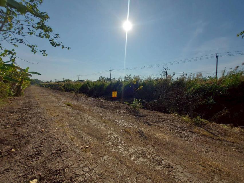 ขายที่ดินเปล่าคลอง10 หนองเสือ ใกล้วัดแสงมณี 3