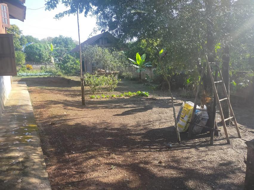 ขายบ้านพร้อมที่ดิน วิวสวย บรรยากาศดี 🌿 🏡 บ้าน 2 ชั้น บนไม้ ล่างปูน 📐 เนื้อที่ 1 ไร่ 1 งาน 💰 ราคา 3.49 ล้านบาท (ต่อรองได้) 📍 บ้านเหมืองลึก ต.โป่งแ 6