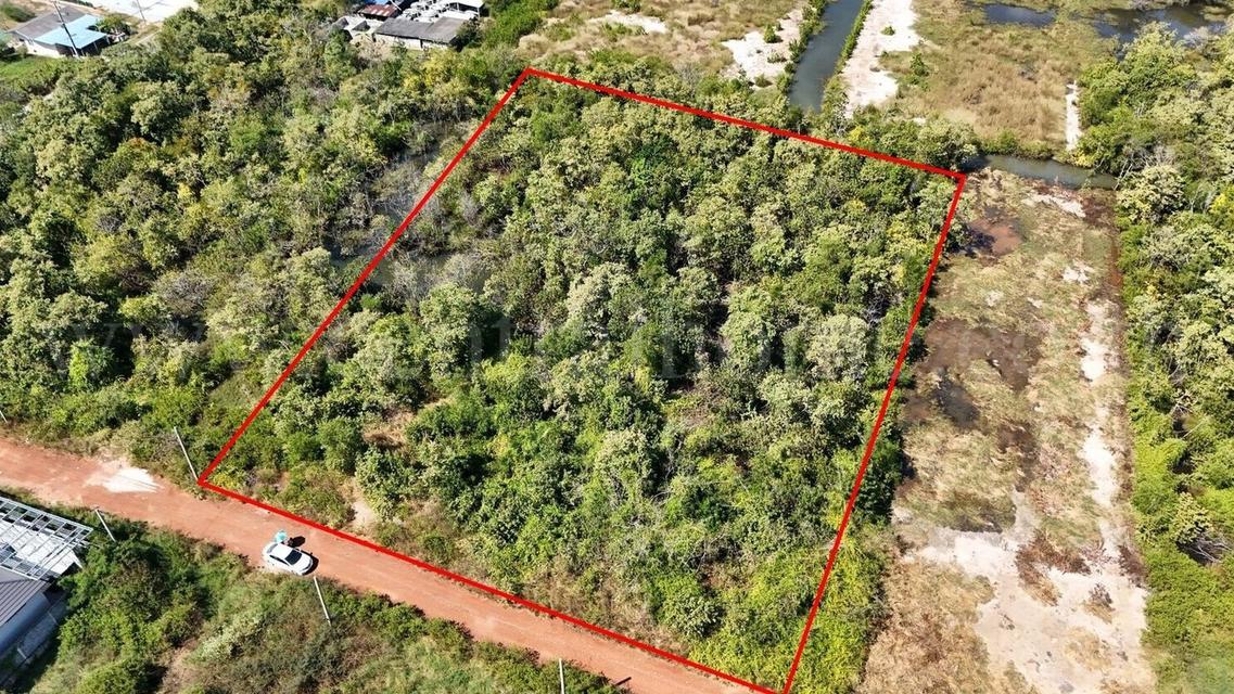 ที่ดินเปล่า 4 ไร่ แบ่งขายได้แปลงละ 1 ไร่ บางปะกง - ฉะเชิงเทรา ราคาถูก 2