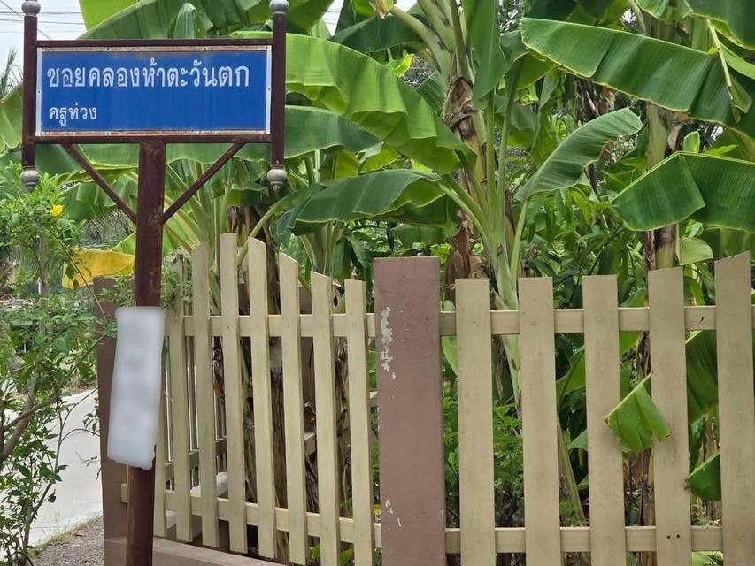 ขายด่วนที่ดิน 455 ตารางวาติดถนนลาดยางสาธารณะซอยคลองห้าตะวันตก(ครูห่วง) คลองหลวง ปทุมธานี 1