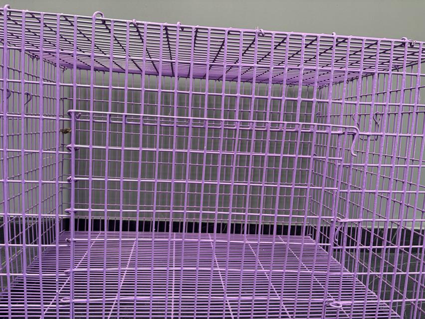 ขายกรงแมวมือสอง สภาพดี รูปที่ 3