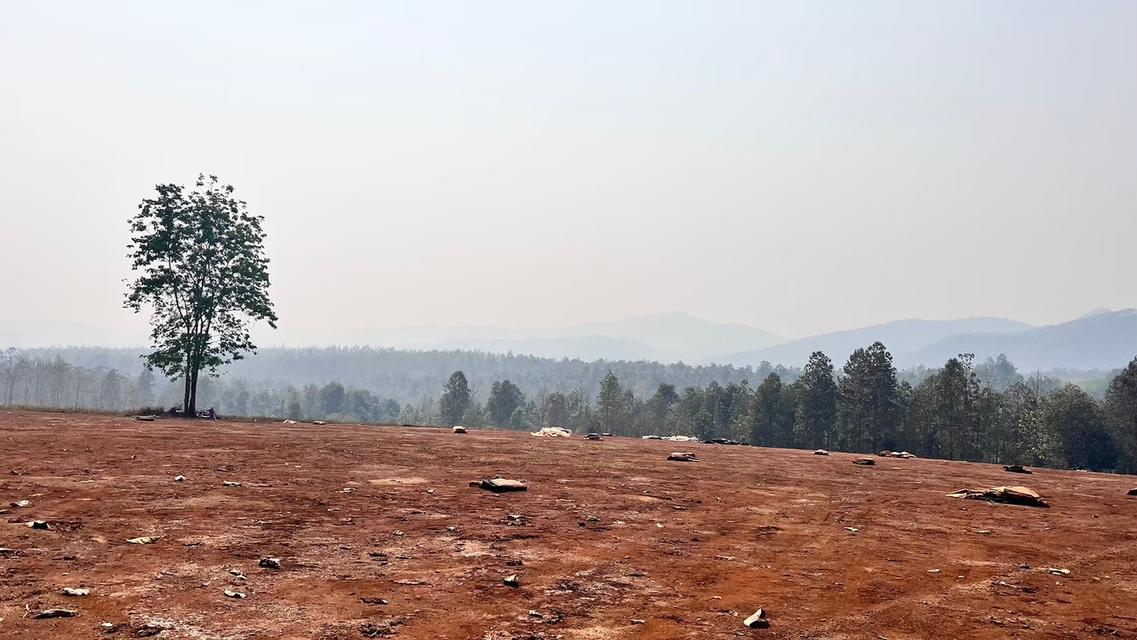 ที่ดินเชียงใหม่แม่แตง 2