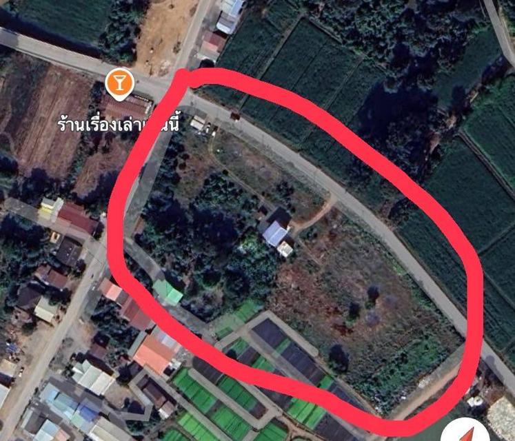 ขายที่ดินทำเลสวย น้ำไม่ท่วม 1