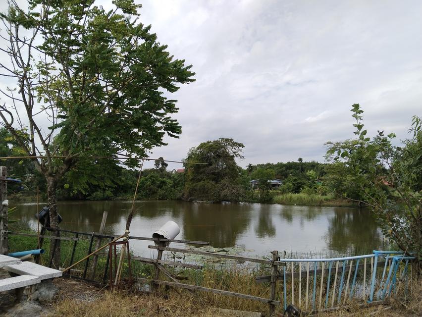 ที่ดินทำเลทอง บ้านพร้อมสวนทุเรียน 4