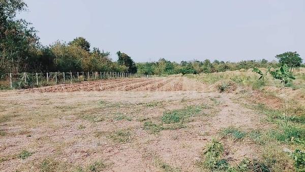 ที่ดินถมแล้ว 9 ไร่ 62 ตร.วา พร้อมโรงเรือน แก่งกระจาน เพชรบุรี 3