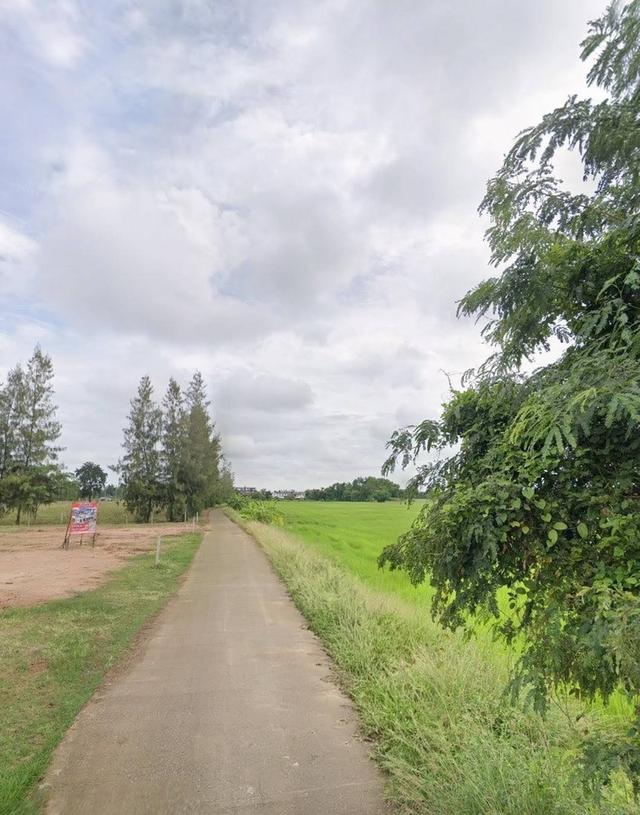 ✅ ขายที่ดินยกเเปลง 5ไร่ 3 งาน 34 ตรว @ต.สวนดอกไม้ อ.เสาไห้ จ.สระบุรี 🌏ที่ดินเเปลงสวย 3