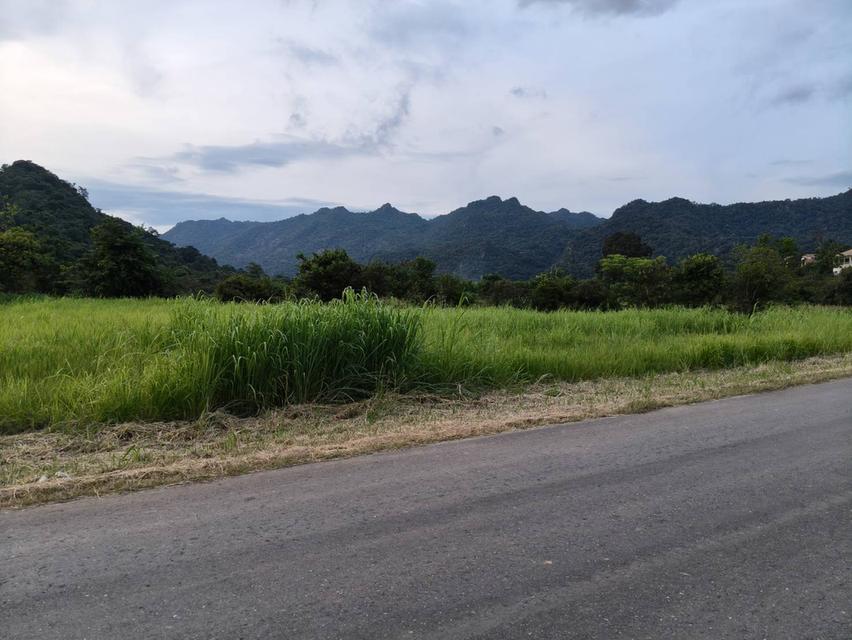 ขายที่ดินเขาใหญ่ ปากช่อง 7ไร่ วิวเขาล้อมรอบสวยมาก ใกล้ภูเขา กุดคล้าผ่านศึก พญาเย็น ใกล้ไร่องุ่นกรานมองเต้ ใกล้ธนะรัชต์ ภิรมณ์ อุทยาน 0879074045 3