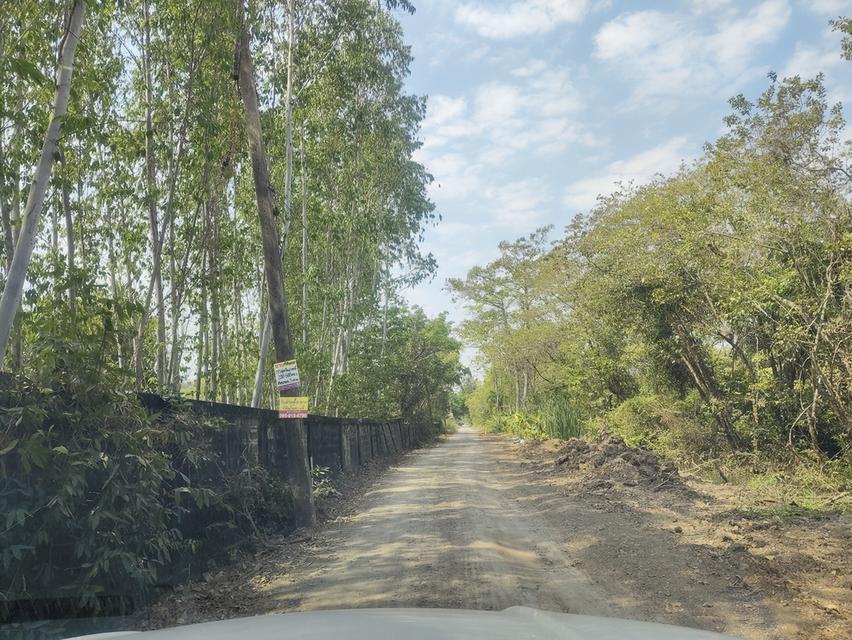 ขายที่ดินคลอง 6 ซอยคลอง 6 ตะวันตก 17 อยู่ใกล้มหาวิทยาลัยเทคโนโลยีราชมงคลธัญบุรี ศูนย์รังสิต 6