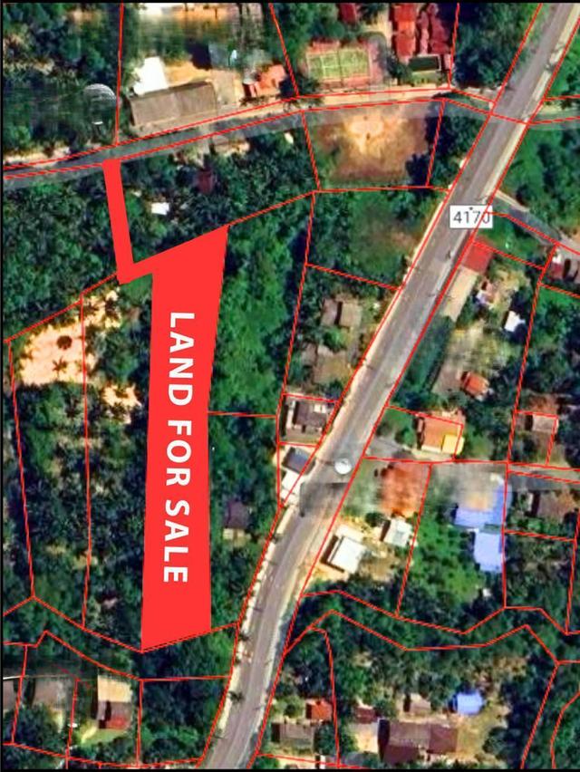 ขายที่ดินโฉนด ไร่ละ 2 ล้านบาท ถูกที่สุดในสมุย ตลิ่งงาม เจ้าของขายเอง 2