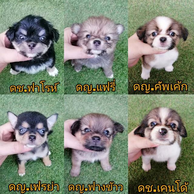 งบน้อยทางนี้ เริ่ม 2000 พร้อมย้ายทุกตัว