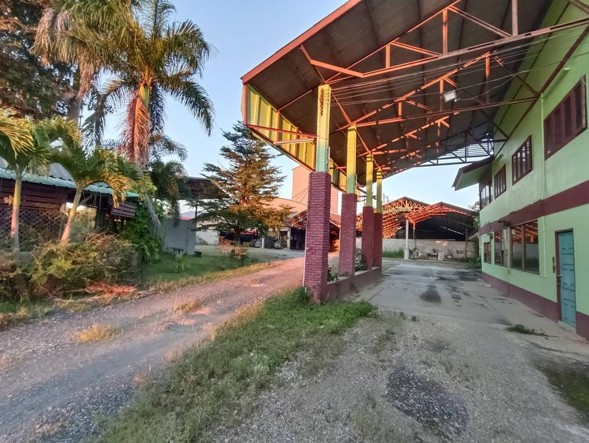 บ้านและที่ดินวิวหลักร้าน 7