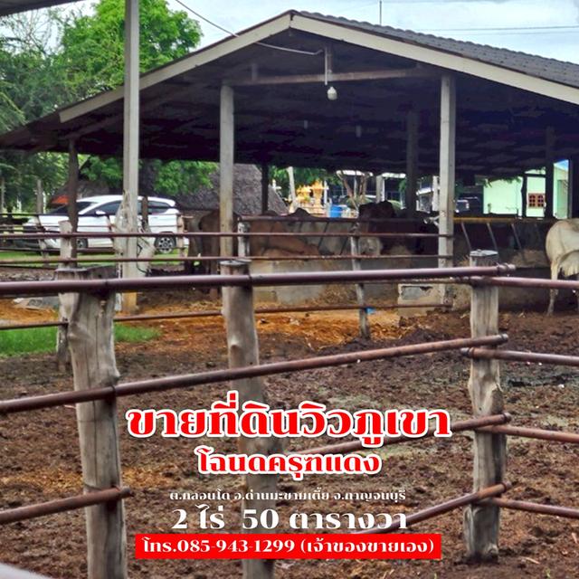 ขายที่ดิน 2 ไร่ 50 ตารางวา ติดถนนลาดยาง วิวภูเขา จ.กาญจนบุรี 1,500,000 6