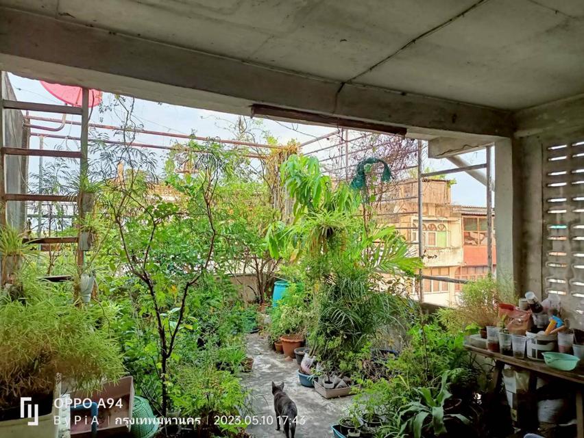 อาคารพาณิชย์ ซ.ลาดพร้าว 62 หลังมุม เข้าซอยเพียง 100 เมตร ใกล้ MRT โชคชัย 4 ทำเลดี จอดรถได้ ถนนกว้าง 4