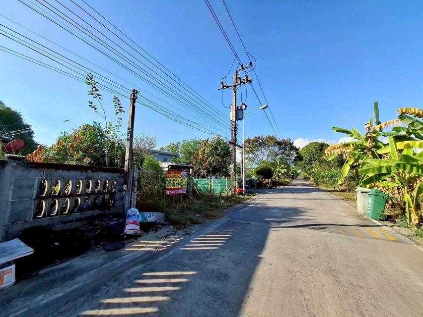 Vายด่วนที่ดินคลองแปด 100 ตารางวา ติดถนนคอนกรีตสาธารณะ ถมแล้ว ซอย คุณสัมฤทธิ์ อ.ธัญบุรี จ.ปทุมธานี 4