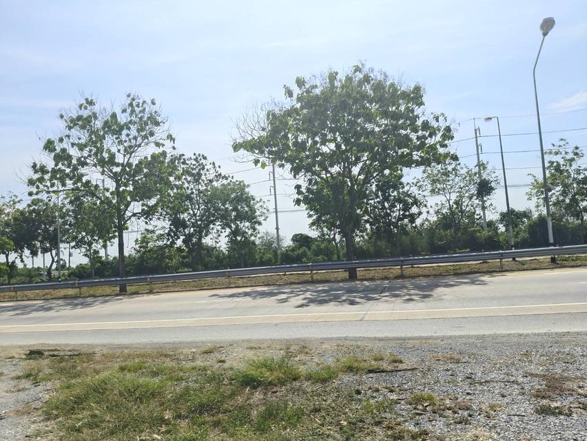 ✨ ขายที่ดินติดถนน 340 – ทำเลทอง อ.สามชุก จ.สุพรรณบุรี ✨ 3