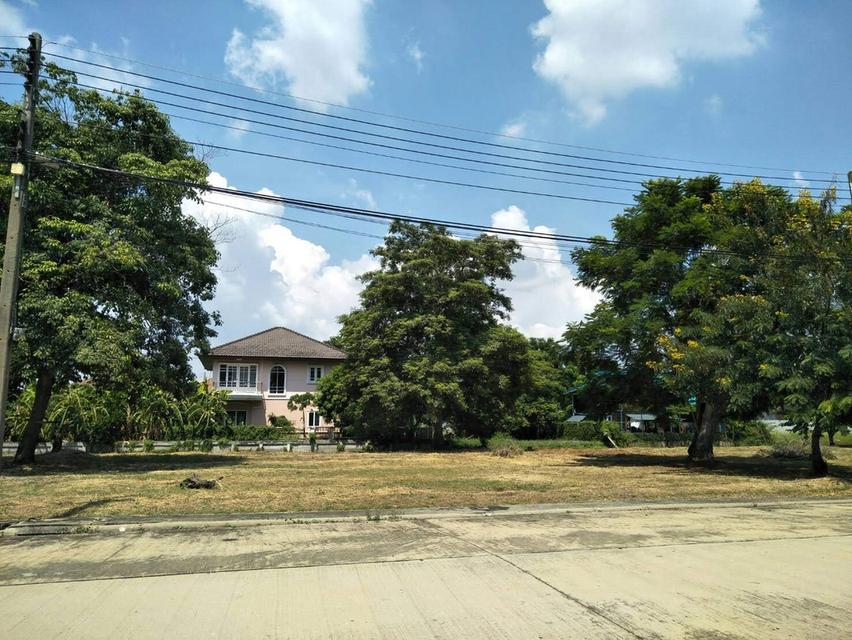 ขายที่ดินเปล่าหมู่บ้านเดอะลากูน3 ถนนปทุมธานี-สามโคก-เสนา ท้ายเกาะ สามโคก ปทุมธานี พื้นที่99ตรว. ใกล้ตลาดโรงเกลือท้ายเกาะ 2