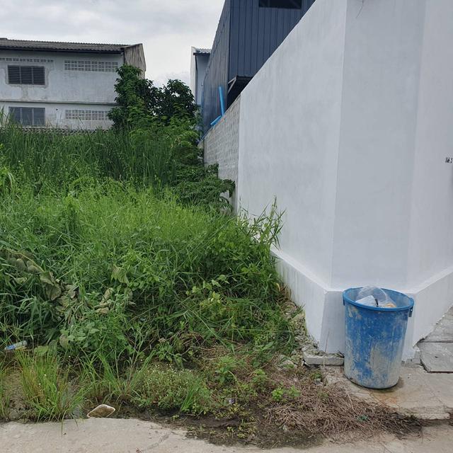 ที่ดินบางบอน5 หนองแขม 2