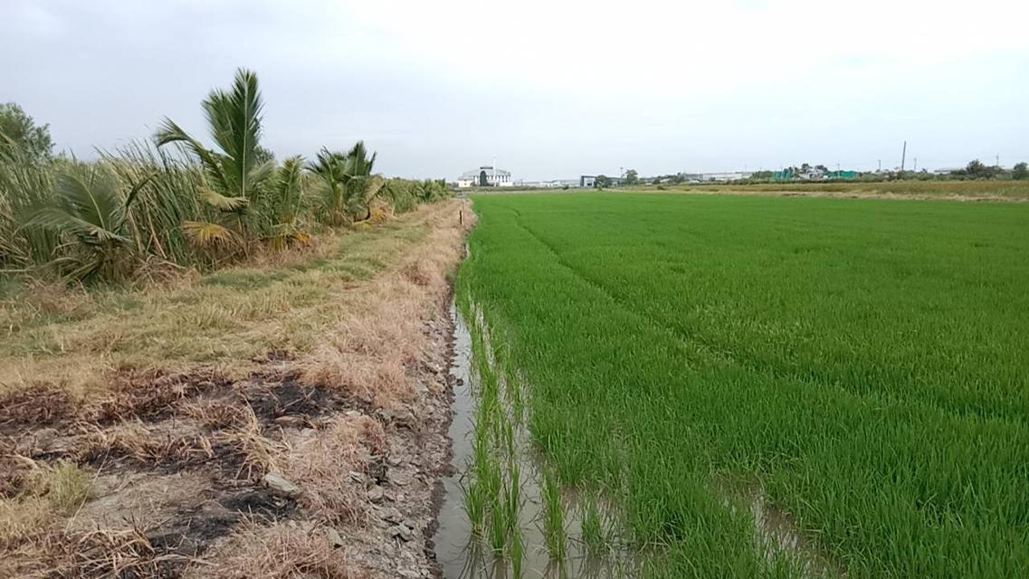 อสังหาริมทรัพย์ที่ดิน 2