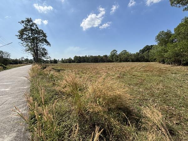 ขายที่ดิน 13 ไร่ 63 ตร.ว. บ้านนา นครนายก ถนนสุวรรณศร ยกแปลก หรือแบ่งก็ได้ โทร 089-7411750 2