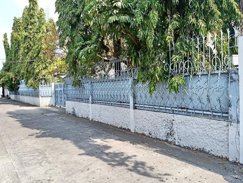ขายบ้านเดี่ยว 225 ตร.ว. ย่านสุขุมวิท 101/1 บางนาครับ 1