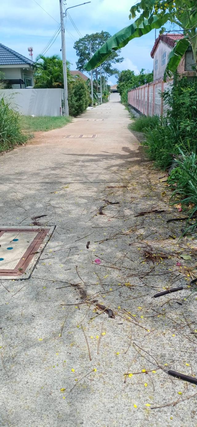 Land for Sale Bangsaray near the sea 94 SQW. 8