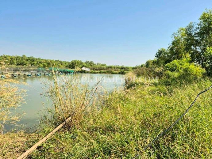 ที่ดิน ใกล้อบต.วังจุฬา วังน้อย พระนครศรีอยุธยา 4