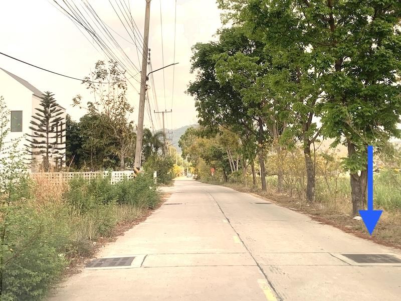 ขายที่ดินถนนข้าวหลาม เนื้อที่ 4ไร่หลังปั้ม ปตท.ถนนข้าวหลาม ห่างถนนข้าวหลาม 400เมตร ที่ดินวิวภูเขา เข้า-ออก 2ทาง ที่ดินหน้ากว้าง 50เมตร 2