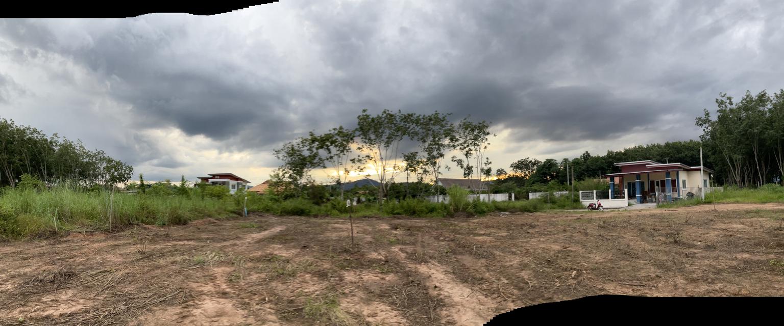 ขายที่ดิน 1