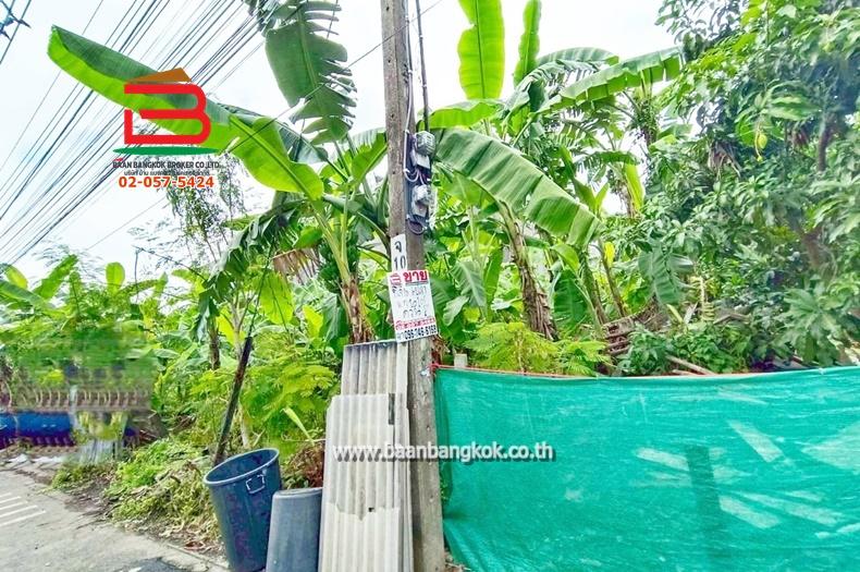 ที่ดิน ถมแล้ว เนื้อที่ 101 ตรว. ซอยลาดพร้าว 80 แยก 20 (ใกล้BTS ลาดพร้าว 71) ถนนลาดพร้าว แขวงวังทองหลาง เขตบางกะปิ 7