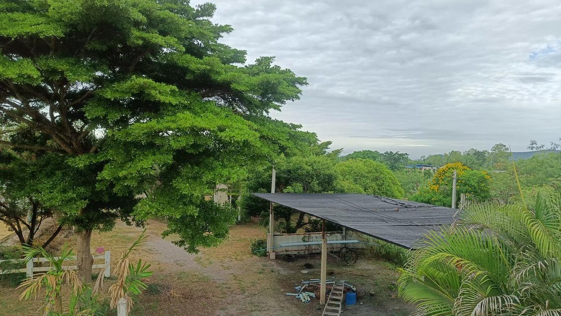 บ้านและที่ดิน3.1ไร่ ราชบุรี 6