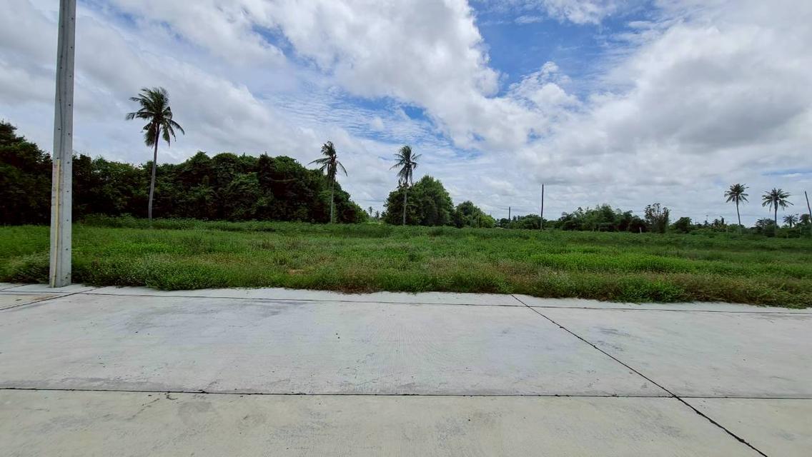 ที่ดิน THE PROPERLAND HUAY YAI 11