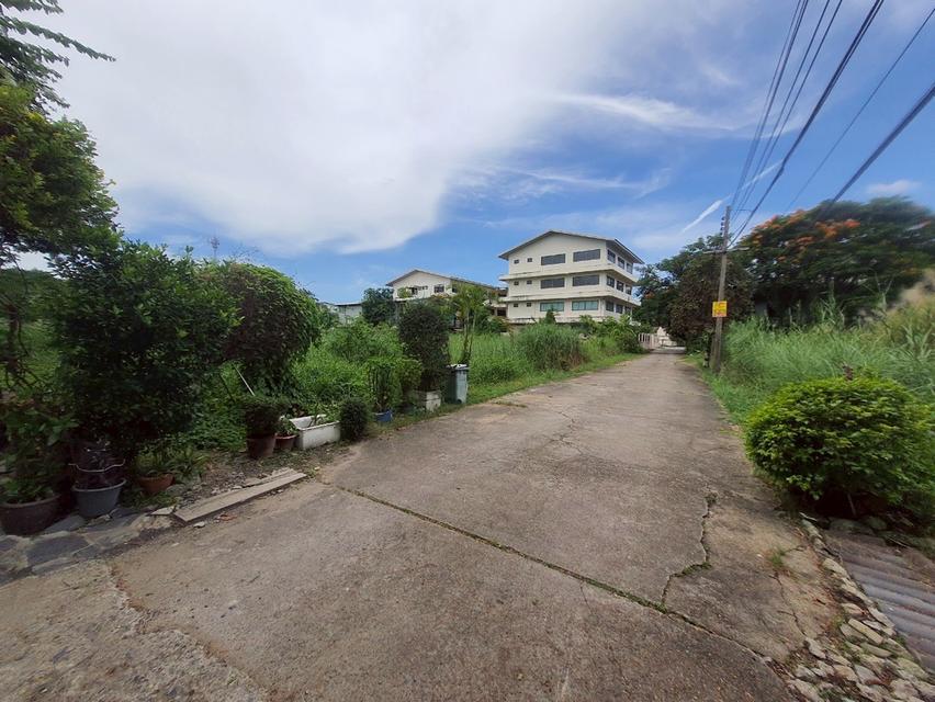 ที่ดิน 7