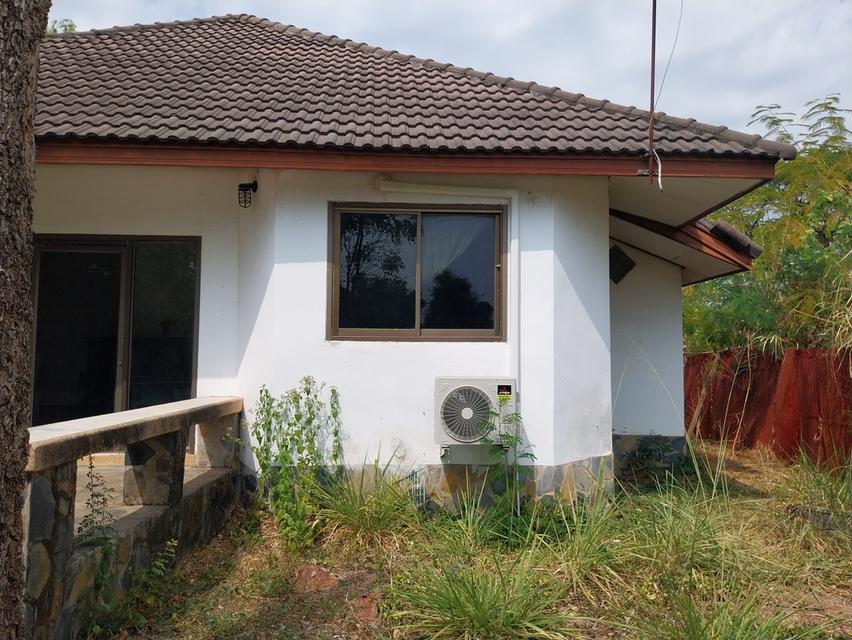 บ้าน2หลัง2แปลง พร้อมที่ดิน  2แปลง 1