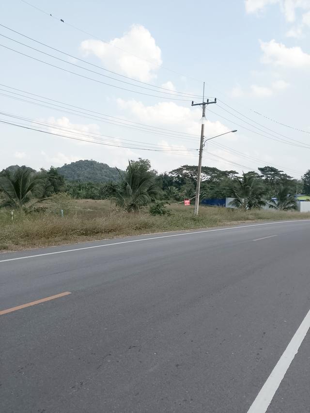 ขายที่ดิน 6ไร่ ต น้ำพุ อ เมืองราชบุรี 6