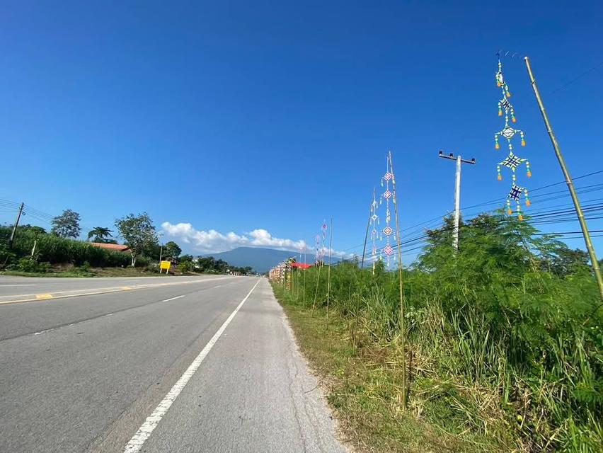 ขายที่อำเภอภูกระดึง 6