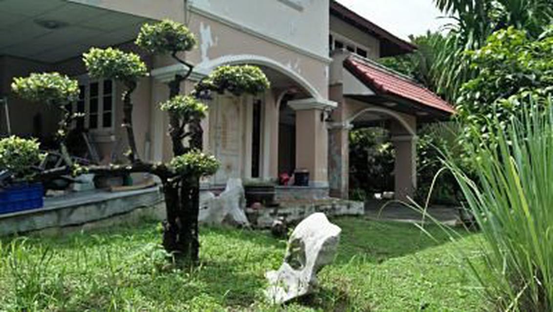รูป SALE LUXRY HOUSE IN NICE VILLAGE NOT FAR AIRPORT ABOUT 14 KM 1