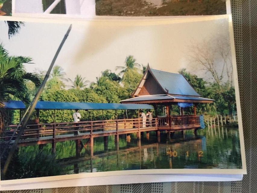 ที่ดินสวน น้ำรอบ สามพราน นครปฐม 4