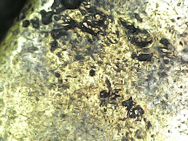 พระหลวงปู่ทวดหลังเตารีด 11