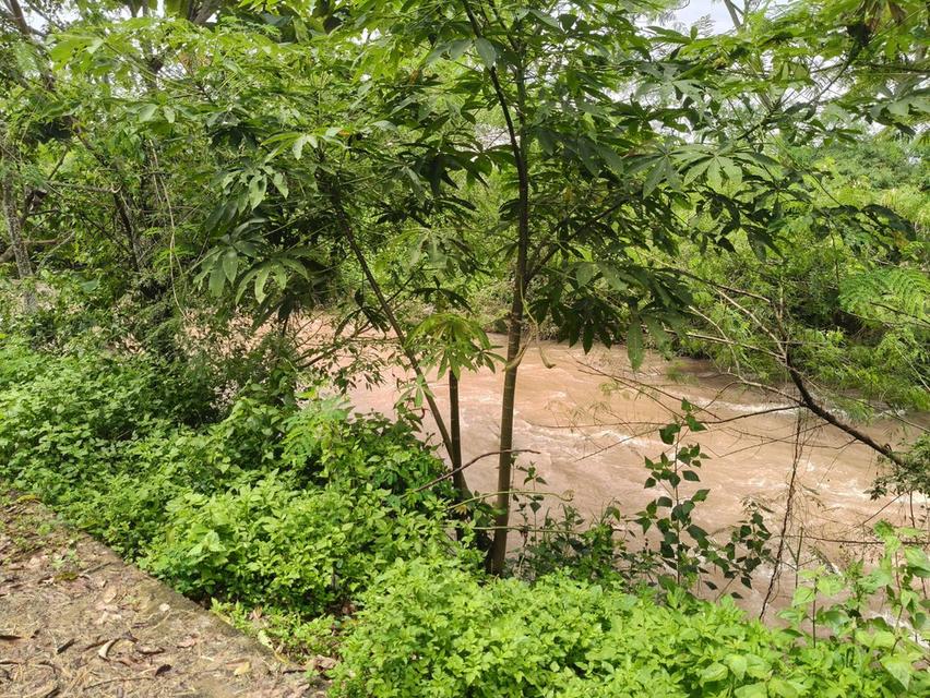 ที่ดิน ทำเลติดภูเขา จ.น่าน 9