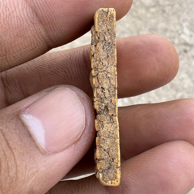 พระสมเด็จวัดระฆัง เนื้อกระยาสารท เก่าหายากตามตำรา รูปที่ 3