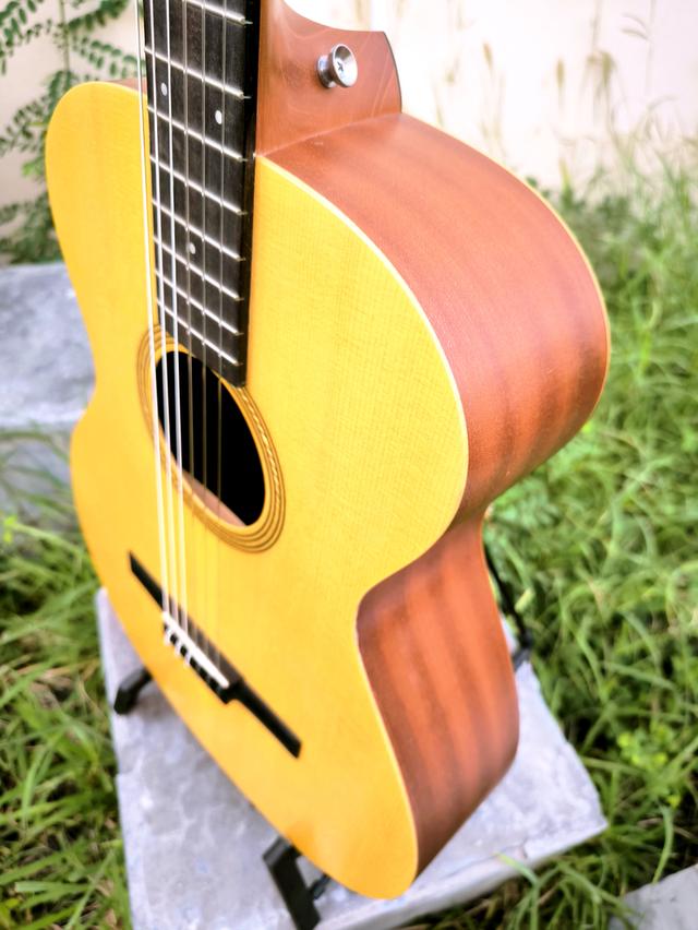 Taylor Academy 12e-N - Naturalกีตาร์สายไนลอนจาก Taylor รูปที่ 4