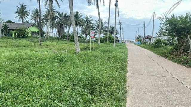 ขายที่ดินใกล้ทะเล หาดบางเบิด 10-3-74 ไร่ ขายราคาไร่ล่ะ 1.5 ลบ.โฉนด พร้อมโอน ทัศนียภาพงดงาม สวยวิวดีหายากทำเลเยี่ยมคุยง่า 5