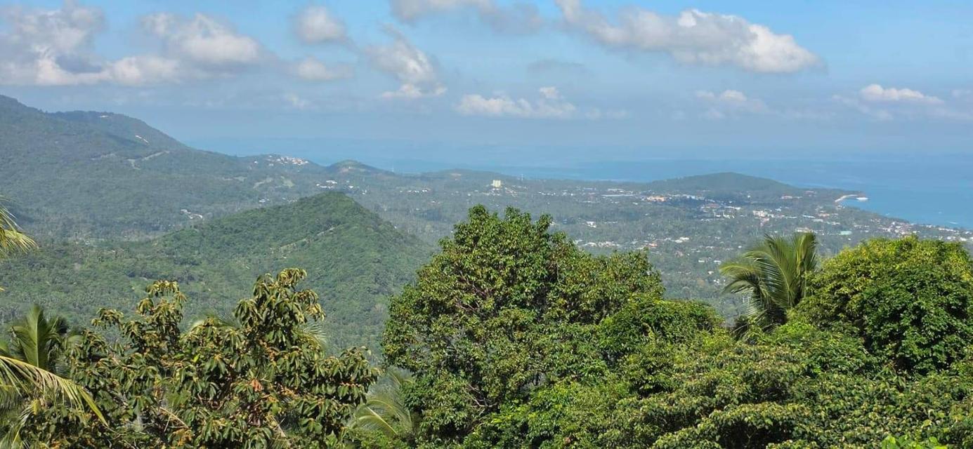 ที่ดินซีวิวบนเกาะสมุยอากาศดีถนนไฟฟ้าพร้อม 1