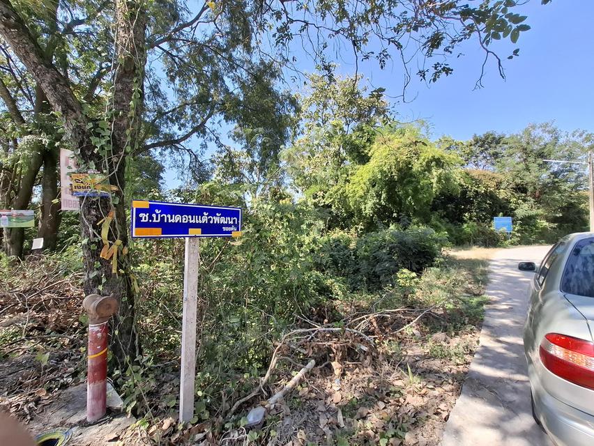 ที่ดินเปล่า 2 แปลงติดกัน หน้าติดถนนซอยบ้านดอนแต้วพัฒนา ต.พิกุลออก อ.บ้านนา จ.นครนายก 5