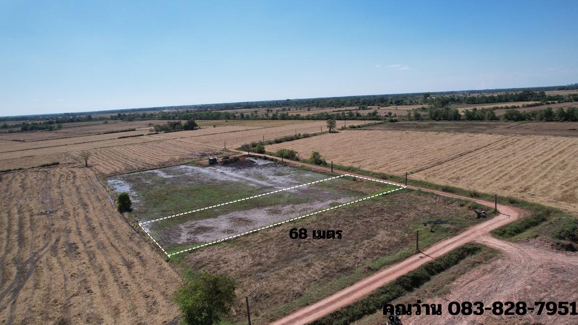 ขายที่ดิน 1 ไร่ มีโฉนด อ.ปากพลี ขายพร้อมโอน 420,000 บาท 8