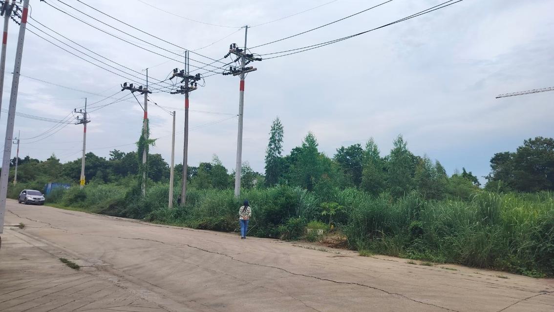 ขายที่ดินคลองหลวงแพ่ง ถนนสุวินทวงศ์ อ.เมืองฉะเชิงเทรา 3แปลงติดกัน รูปทรงสวย