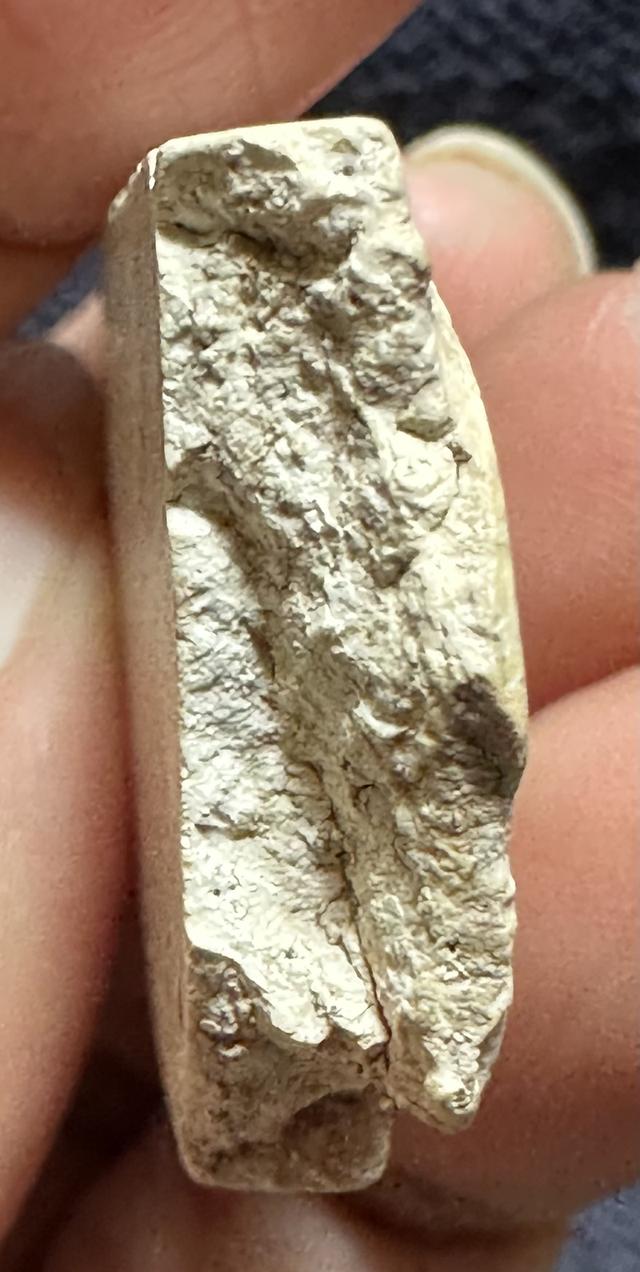 พระสมเด็จพิมพ์ใหญ่ เนื้อบิ่นกระเทาะ เก่าเดิม 7