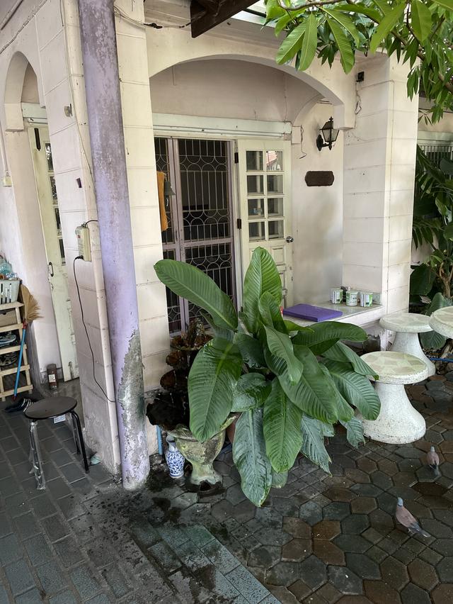 ขายบ้านเดี่ยว เนื้อที่ 55 ตรว. รังสิต 10